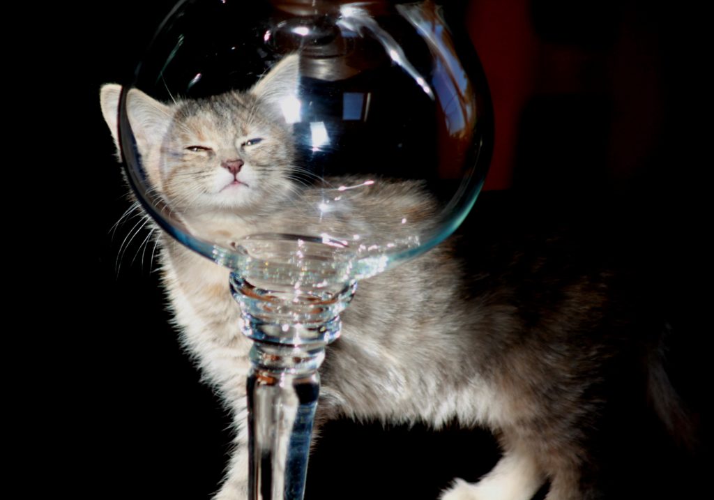 Gribouille à travers un verre